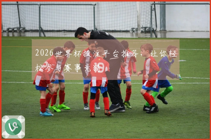 2026世界杯投注平台推荐，让你轻松参与赛事竞猜