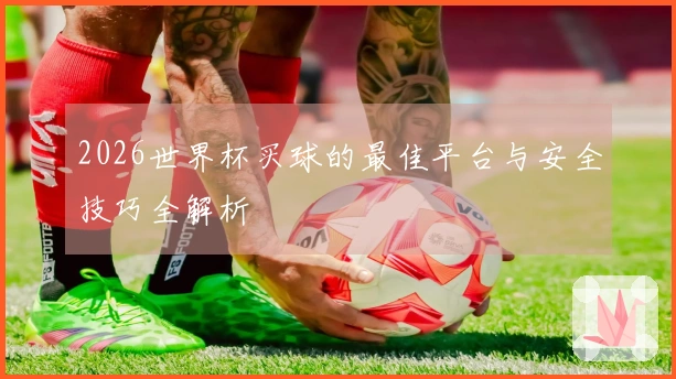 2026世界杯买球的最佳平台与安全技巧全解析