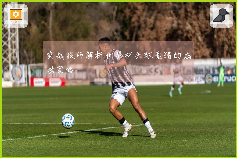 实战技巧解析世界杯买球竞猜的成功策略