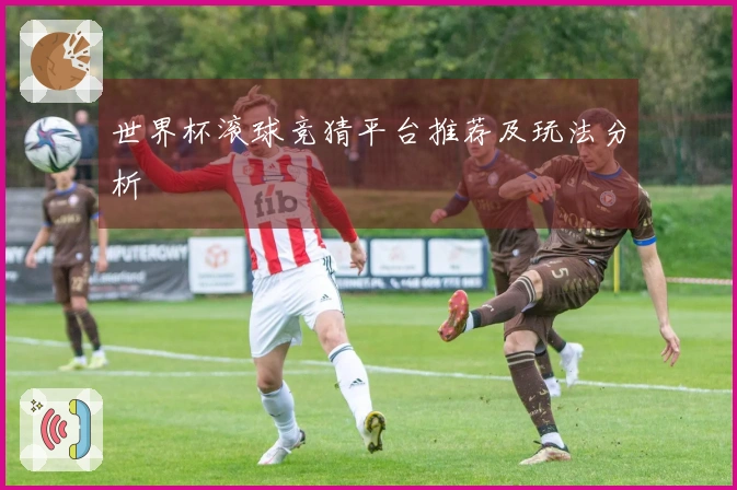世界杯滚球竞猜平台推荐及玩法分析