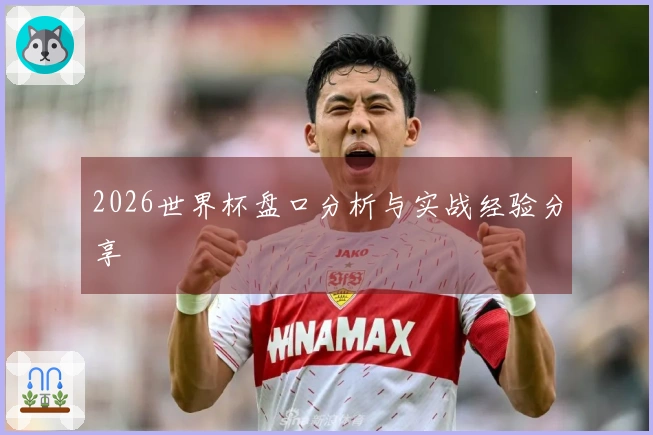 2026世界杯盘口分析与实战经验分享